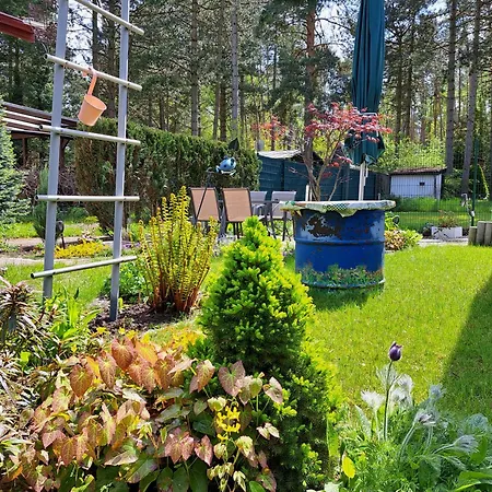 Gemuetlicher Am Rand Der Duebener Heide בית נופש