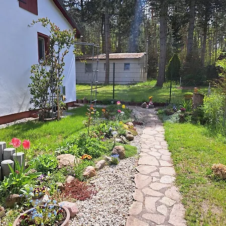 Gemuetlicher Am Rand Der Duebener Heide * Zschepplin