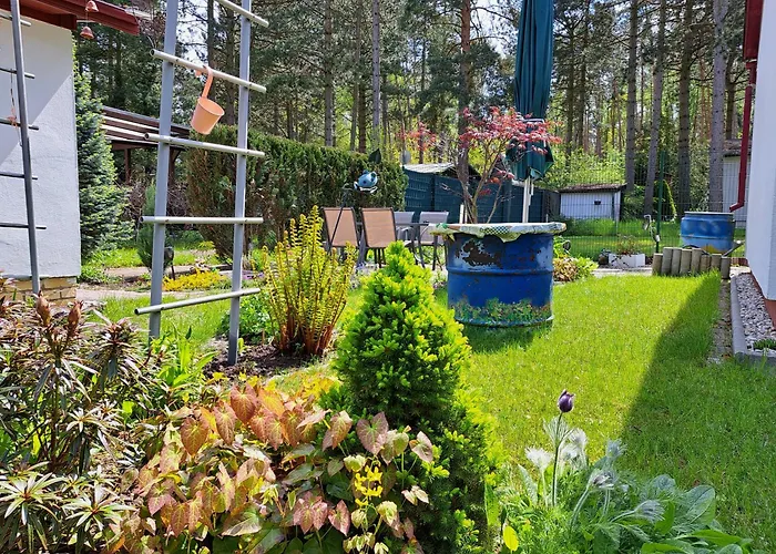 Gemütlicher Am Rand Der Dübener Heide Ferienhaus