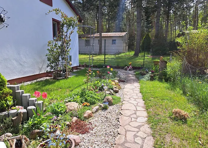 Gemütlicher Am Rand Der Dübener Heide * Zschepplin